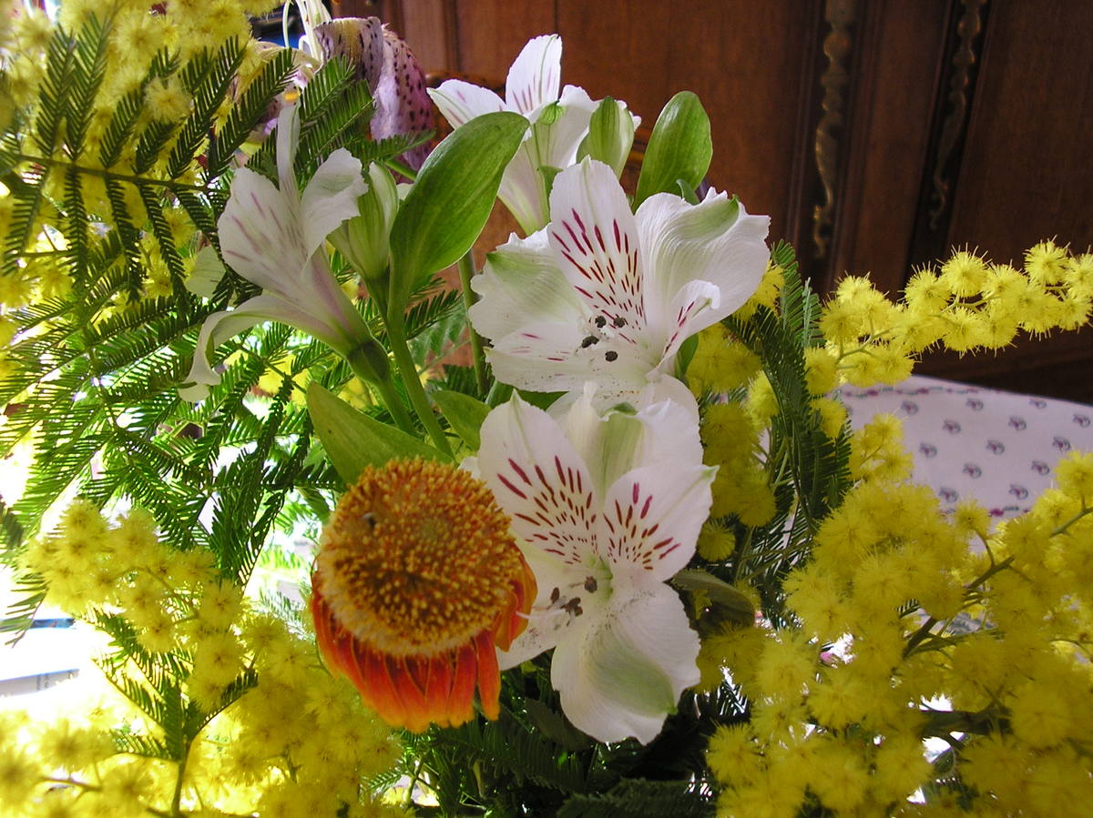 http://accel10.mettre-put-idata.over-blog.com/2/44/74/73/jardins/bouquet-mimosa-et-autres-fleurs.jpg