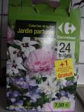 http://i48.photobucket.com/albums/f216/Khanaleon/jardin/12%20avril%2008/th_lesbulbes.jpg