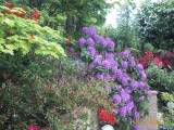 http://img.photobucket.com/albums/v150/gomero/plantes/th_jardin_MAY_2005066.jpg