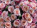 Bouquet de roses roses.jpg