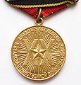 20th anniversary of Victory in Patriotic War - Revers.JPG