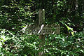 "Zuri National Park" Wild Africa.jpg