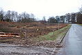 20061224-schleusentreppe-niederfinow-075.JPG
