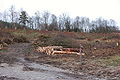 20061224-schleusentreppe-niederfinow-076.JPG