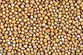 Sa yellow mustard.jpg