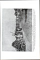 LA2-NSRW-1-0485.jpg