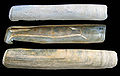 Solen marginatus 2.jpg