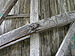 Willow Hill Covered Bridge Burr Arch Truss Joint 3264px.jpg