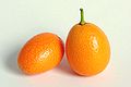 Kumquat-0245.jpg