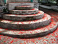 07.Malinche (Delonix Regia) leaves.JPG