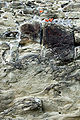 An old wall.JPG