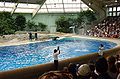 Brookfield zoo fg10.jpg