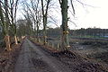 20061225-schleusentreppe-niederfinow-013.JPG