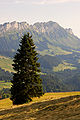 Aebnistettenflue entlebuch 03.JPG