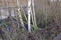 20061225-schleusentreppe-niederfinow-037.JPG