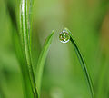 ComputerHotline - Water droplet (by) (7).jpg