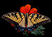 Eastern Tiger Swallowtail Papilio glaucus Female 2838px.jpg