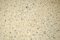2009-03-21 Beer brewing bubbles.jpg