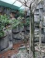 Brookfield zoo fg08.jpg
