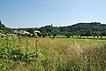 Bochum-090624-8729-Baerenklau-an-der-Ruhr.jpg