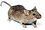 Mouse white background.jpg