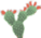 Mini nopal.png