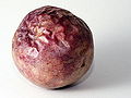 Passiflora Edulis Closed Fruit.jpg