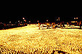 ''Eine Million Lichterstadt 2004'' Foto.jpg
