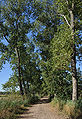 Meetkerkse Moere R01.jpg