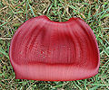 Banana Musa Flower Petal 2400px.jpg