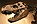 Portail des dinosaures