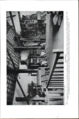 LA2-NSRW-1-0487.jpg