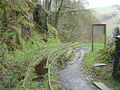 Tivedshambo 2008-03-18 Alltwyllt incline.jpg