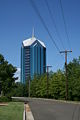 2008-08-11 University Tower from Petty Rd.jpg