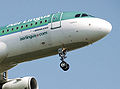 Aer lingus a320-200 ei-deg nosewheel arp.jpg