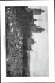 LA2-NSRW-3-0219.jpg