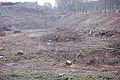 20061224-schleusentreppe-niederfinow-068.JPG