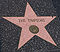 The Simpsons star.jpg
