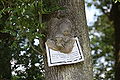 Baum frisst Schild.JPG