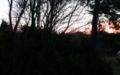 Morgenroede (Dawn).JPG