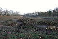 20061225-schleusentreppe-niederfinow-003.JPG