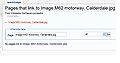 'What links here' screen shot 2-28-08 for talk page.JPG