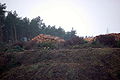 20061224-schleusentreppe-niederfinow-067.JPG