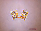 Odontella aurita cells.jpg