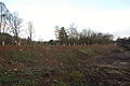 20061225-schleusentreppe-niederfinow-010.JPG