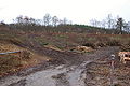 20061224-schleusentreppe-niederfinow-077.JPG