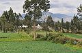 Ecuador Oyambaro agri landscape 02.jpg