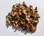 Boletus Impolitus dried 2010 G1.jpg