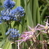 http://www.zimagez.com/avatar/jardinamethyste.jpg