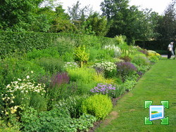 http://www.zimagez.com/miniature/jardin11pepinieredingemans005.jpg